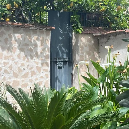 Il Nido di Mariaflò-3